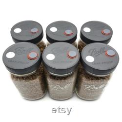 6x Sterilized Rye Grain Jars with Modified Leak-Proof Plastic Lid, Quart Organic Rye Berry Mushroom Grain Substrate