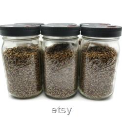6x Sterilized Rye Grain Jars with Modified Leak-Proof Plastic Lid, Quart Organic Rye Berry Mushroom Grain Substrate