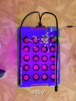 7 Gallon Hydroponic Garden System (DWC) Deep Water Culture