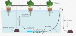 7 Gallon Hydroponic Garden System (DWC) Deep Water Culture