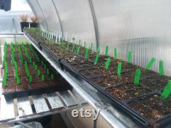7x35 Growers Greenhouse, ClimaPod Spirit (6-mm twin wall polycarbonate)