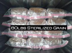 80lbs Sterilized Grain (20 x 4lbs Bags With Injection Ports)
