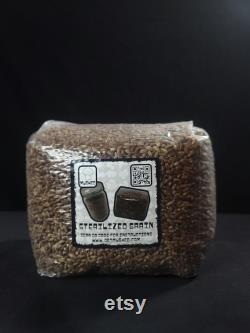8 Pack Sterilized Rye Grain Mushroom Spawn Bag (3lbs.)