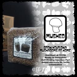8 Pack Sterilized Rye Grain Mushroom Spawn Bag (3lbs.)
