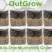 8 X All-in-one Mushroom Grow Bags