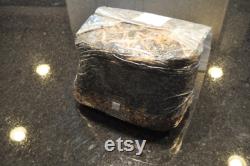 8lb All-in-One Super Sized Mushroom Grow Bag NEW SIZE and BLEND