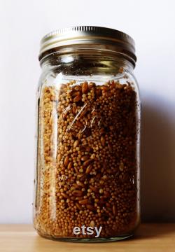 9x Sterilized Oat and Millet Grain Jars