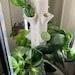 Ayreden Aeroponic Vertical Garden Complete Kit (herbs Module) Everything You Need To Start Growing Herbs And Vegetables Indoor Year Round