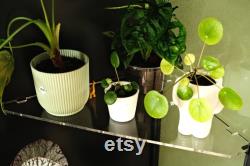 Acrylic corner shelf IKEA Greenhouse cabinet IKEA Rudsta wide compatible