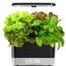 Aerogarden Harvest With Heirloom Salad Greens Pod Kit (6-pod)