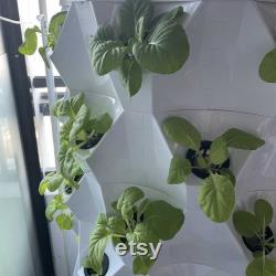 Aeroponics Equipment Pineapple Tower Garden Vertical Hydroponic Growing System 6 Layers 48 Plants