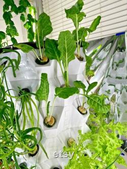 Aeroponics Equipment Pineapple Tower Garden Vertical Hydroponic Growing System 6 Layers 48 Plants