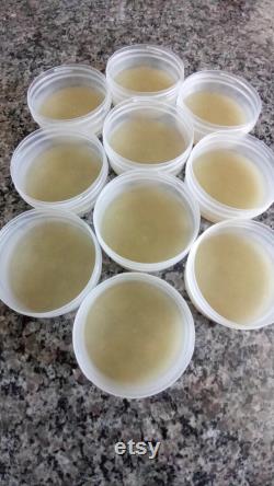 Agar Culture Plate 10x10 Pack Large Reusable containers 100mm x 20mm- O fungi U