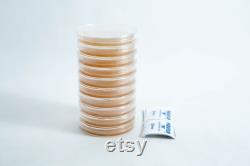 Agar Plates antibacterial (MEAG) Pre poured 90mm Petri Dish