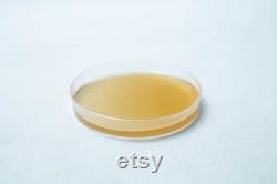 Agar Plates antibacterial (MEAG) Pre poured 90mm Petri Dish