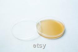 Agar Plates antibacterial (MEAG) Pre poured 90mm Petri Dish