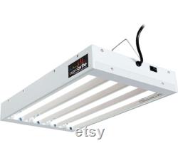 Agrobrite T5 96W 2' 4-Tube Fixture with Lamps 6400 K with 8000 Lumens