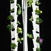 Agrowponics Home Growing System Dual Agrowtowers