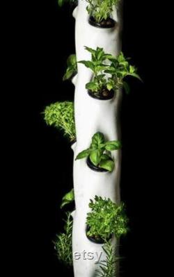 Agrowponics Home Growing System Dual Agrowtowers