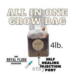 All In One CVG Grow Bag 4 Pack