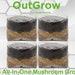 All-in-one Mushroom Grow Bag (4 X 10lbs Bags)