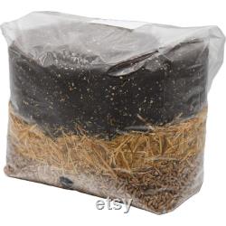 All-In-One Mushroom Grow Bag (4 X 10lbs Bags)
