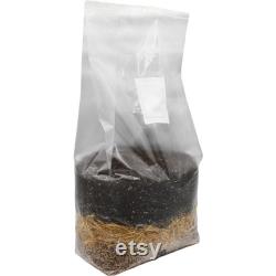 All-In-One Mushroom Grow Bag (4 X 10lbs Bags)