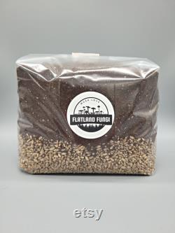 All-In-One Mushroom Grow Bag Pre-Sterilized Grain Spawn and CVG Substrate Injection Port