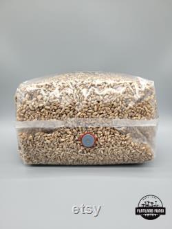 All-In-One Mushroom Grow Bag Pre-Sterilized Grain Spawn and CVG Substrate Injection Port