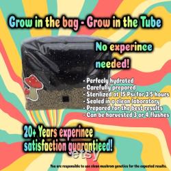All-In-One Mushroom Grow Bags 4x 6 Lbs. Mushroom Grow Bags 1 1 Ratio Organic Rye Spawn and CVG Substrate All-In-One Mushroom Grow Bags