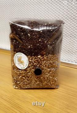 All-In-One Mushroom Grow Kit. 1KG Grain Spawn Coir Vermiculite Gypsum CVG -Buy 3 and get 1 free limited time offer All made to order