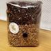 All-in-one Mushroom Grow Kit. 1kg Grain Spawn Coir Vermiculite Gypsum Cvg -buy 3 And Get 1 Free Limited Time Offer All Made To Order