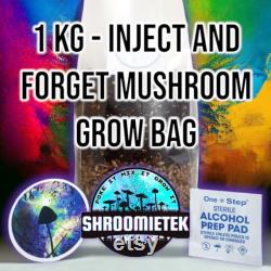 All In One Mushroom Grow Kit 1KG Grain Spawn Substrate Cvg Inject And Forget Bag