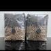 All-in-one Mushroom Grow Kit 1.5kg Buy 3 Get 1 Free Grain Spawn Substrate Cvg