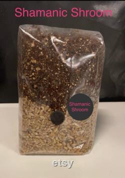All-In-One Mushroom Grow Kit Grow Bag 1KG Grain Substrate CVG- Buy 3 get 1 free
