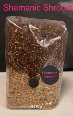All-In-One Mushroom Grow Kit Grow Bag 1KG Grain Substrate CVG- Buy 3 get 1 free
