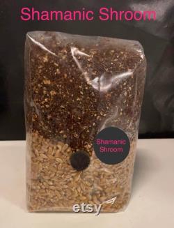 All-In-One Mushroom Grow Kit Grow Bag 1KG Grain Substrate CVG- Buy 3 get 1 free