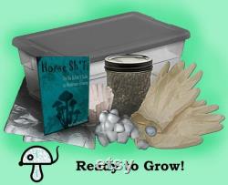 All In One Mushroom Grow Kit Instructions Guide to Growing