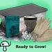 All In One Mushroom Grow Kit Instructions Guide To Growing