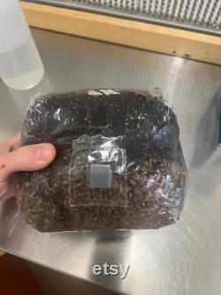 All-in-One Grow Bags 3 lbs
