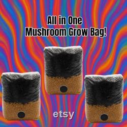 All in One Mushroom Grow Bag