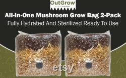 All in One Mushroom Grow Bag (2 Pack)
