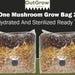 All In One Mushroom Grow Bag (2 Pack)