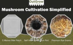 All in One Mushroom Grow Bag (2 Pack)