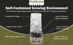 All in One Mushroom Grow Bag (2 Pack)