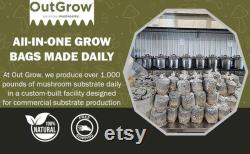 All in One Mushroom Grow Bag (2 Pack)