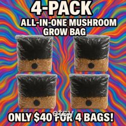 All in One Mushroom Grow Bag 4 PACK