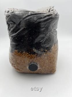 All in One Mushroom Grow Bag 4 PACK