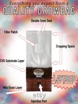 All-in-One Mushroom Grow Bag. Grow like MAGIC