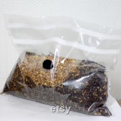 All-in-one Mushroom Grow Kit 1KG Grain Manure Vermiculite